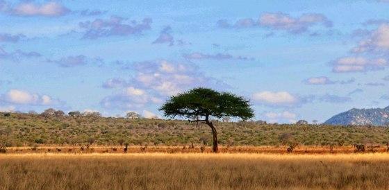 УГАНДА  - ПУЛСЪТ НА АФРИКА!